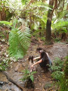 Photo of woman holding a little girls hand as she walks in the creek with gumboots on.